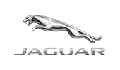 Jaguar Jaguar